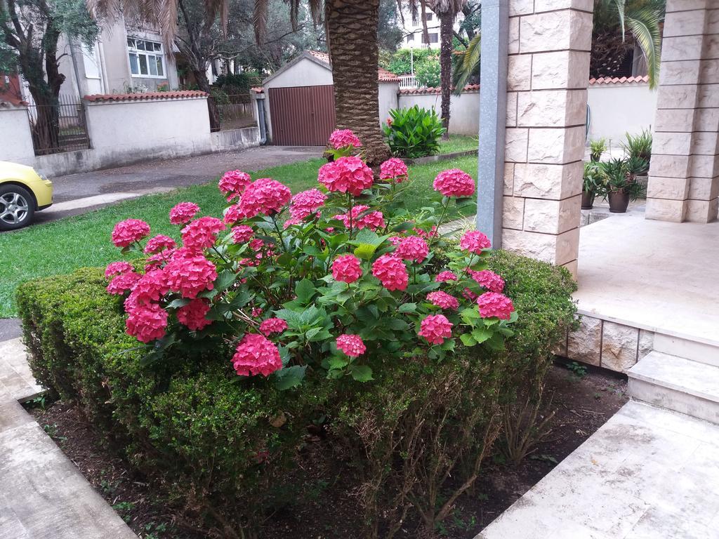 Bravo Apartmani Budva Buitenkant foto